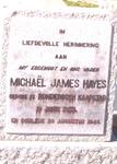 HAYES Michael James 1853-1946