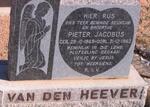 HEEVER Pieter Jacobus, van den 1949-1962
