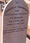 MARAIS A.A. 1853-1921