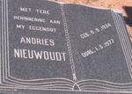 NIEUWOUDT Andries 1924-1977