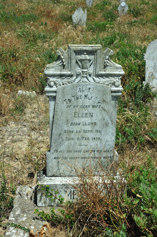 MEYER Ellen nee LLOYD 1901-1938