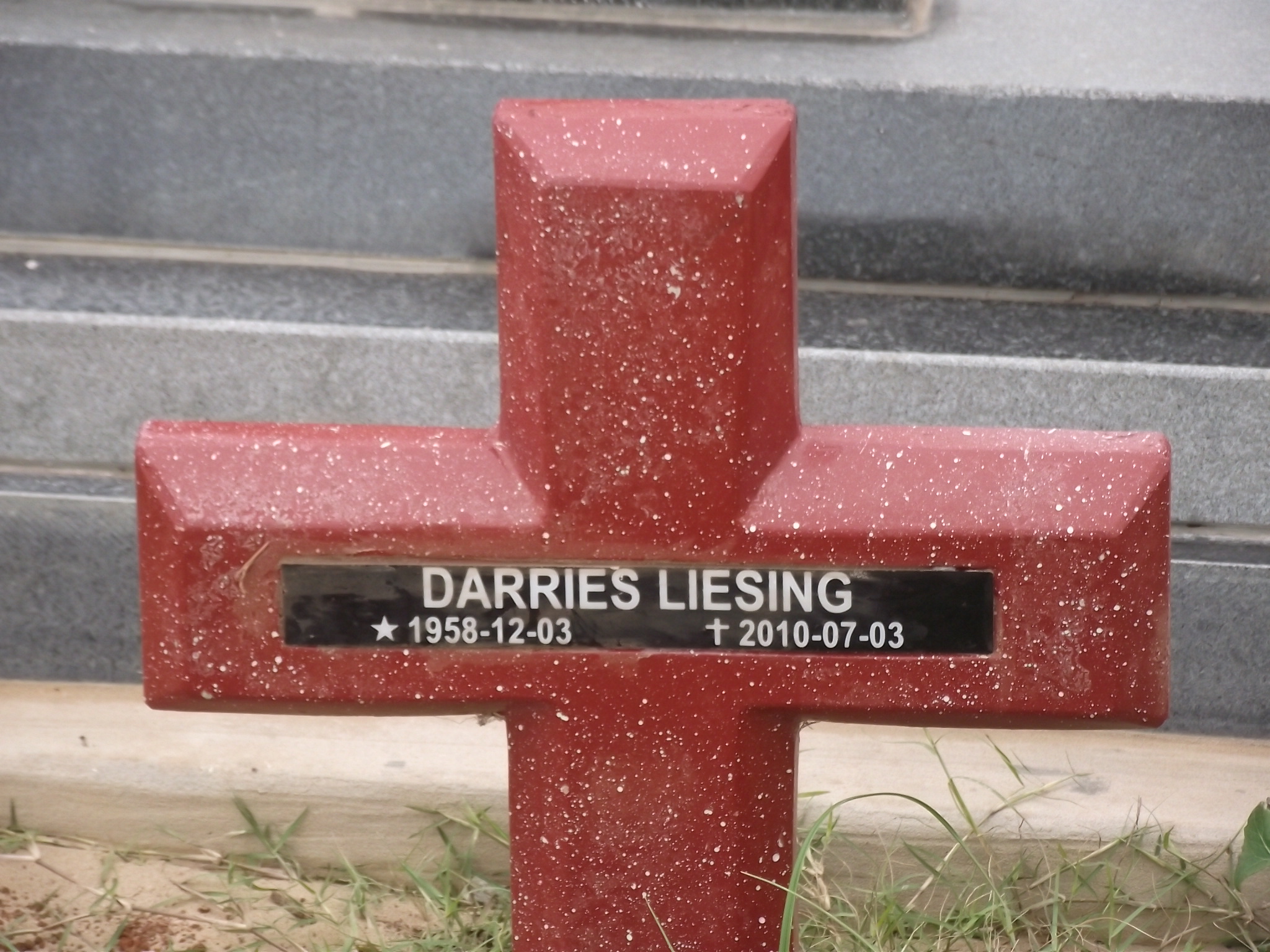 LIESING Darries 1958-2010