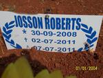 ROBERTS Josson 2008-2011