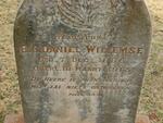 WILLEMSE B.C. Daniel 1886-1913