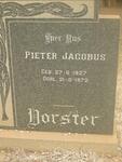 VORSTER Pieter Jacobus 1927-1972