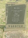 VORSTER Piet 1932-1969