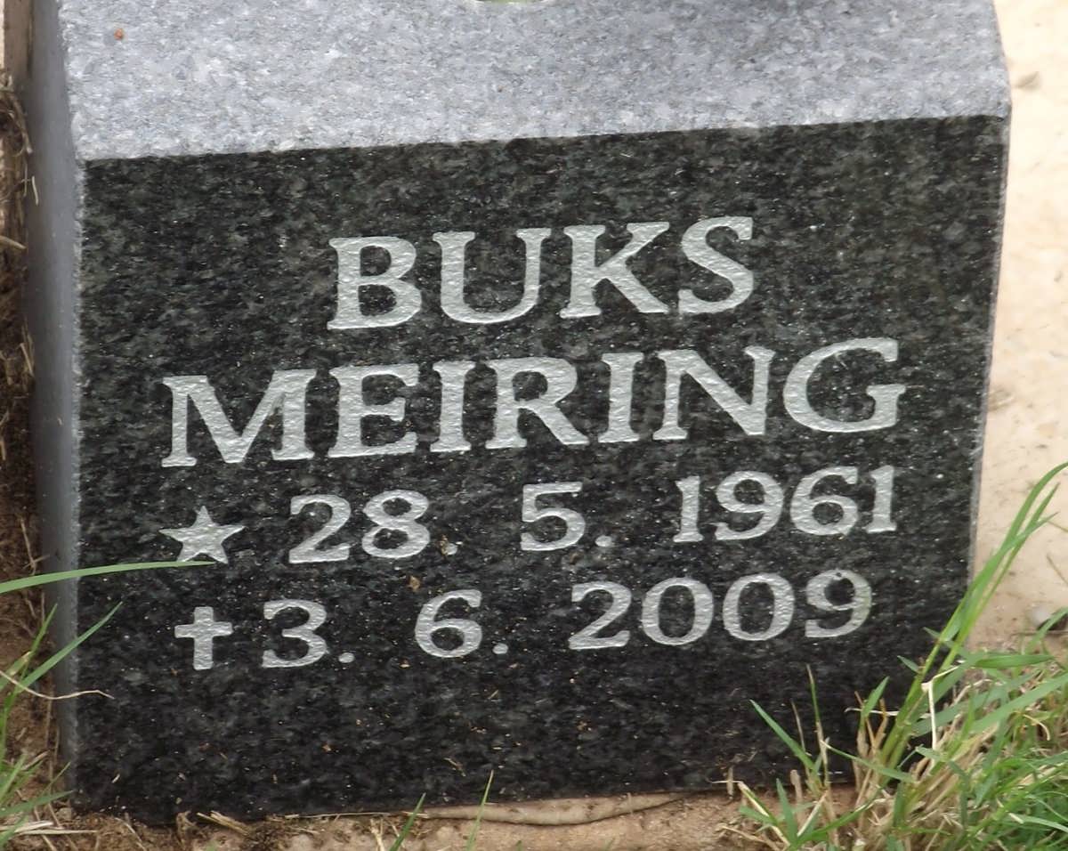 MEIRING Buks 1961-2009