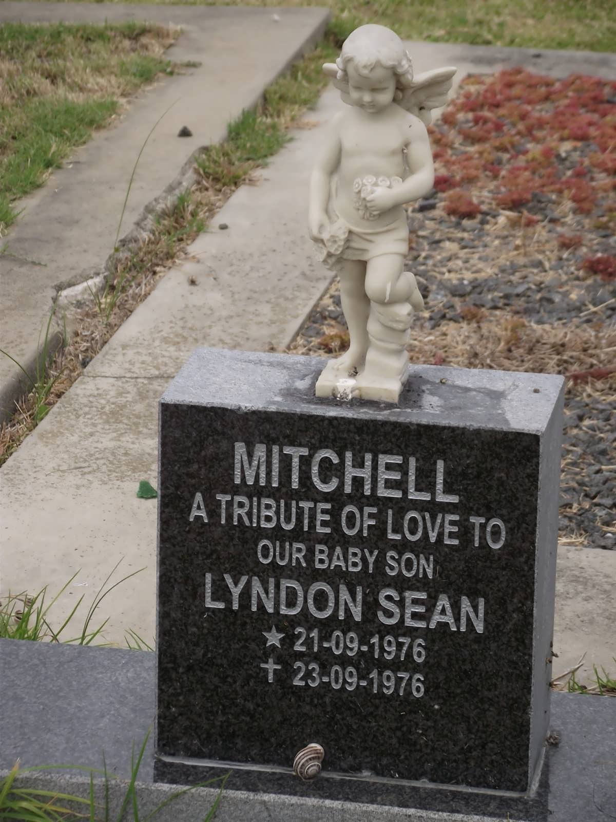 MITCHELL Lyndon Sean 1976-1976