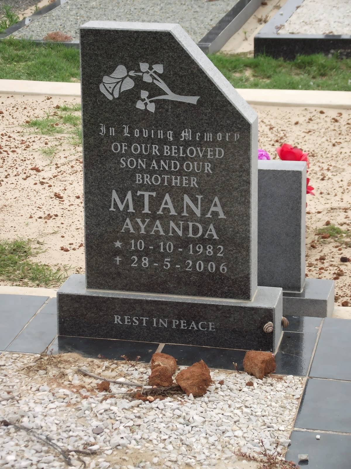 MTANA Ayanda 1982-2006