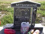MTSHWANE Bukelwa 1971-2010