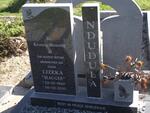 NDUDULA Lizeka 1950-2010