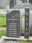 NGALO Mcebisi 1958-2008