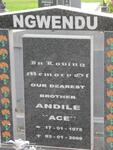 NGWENDU Andile 1975-2009