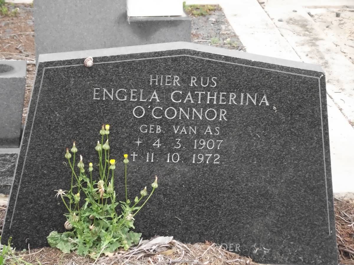 O'CONNOR Engela Catherina nee VAN AS 1907-1972