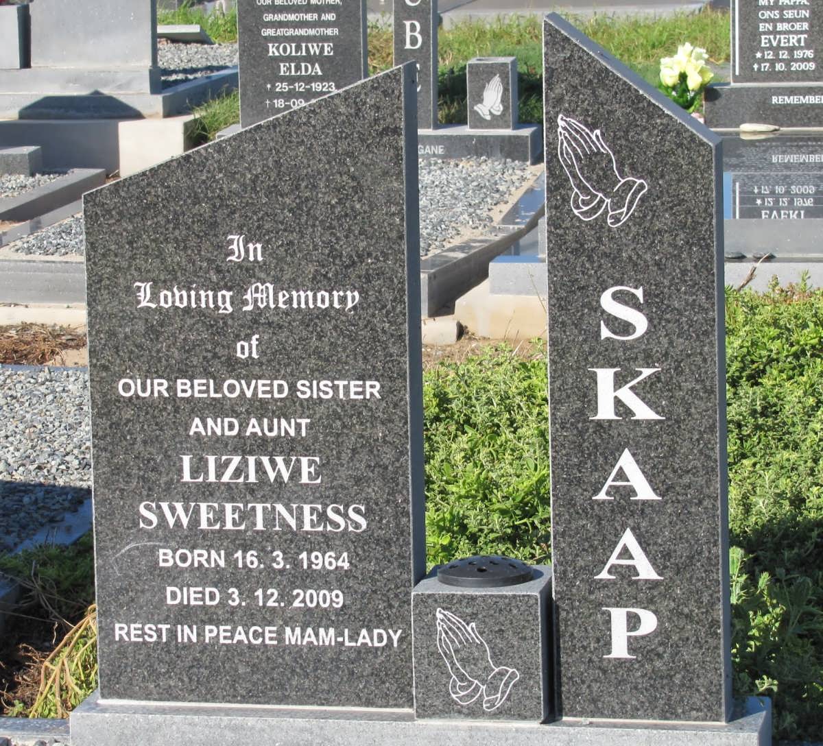 SKAAP Liziwe Sweetness 1964-2009