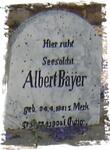 BAYER Albert 1881-1904