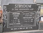 STRYDOM Benjamen A. 1948-1985 :: FLESCH Stuat Noel 1981-1990