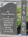 TSUBE Koliwe Elda 1923-2009