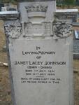 JOHNSON Janet Lacey nee DODDS 1851-1930