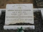 FERREIRA Andries Hercules 1862-1925