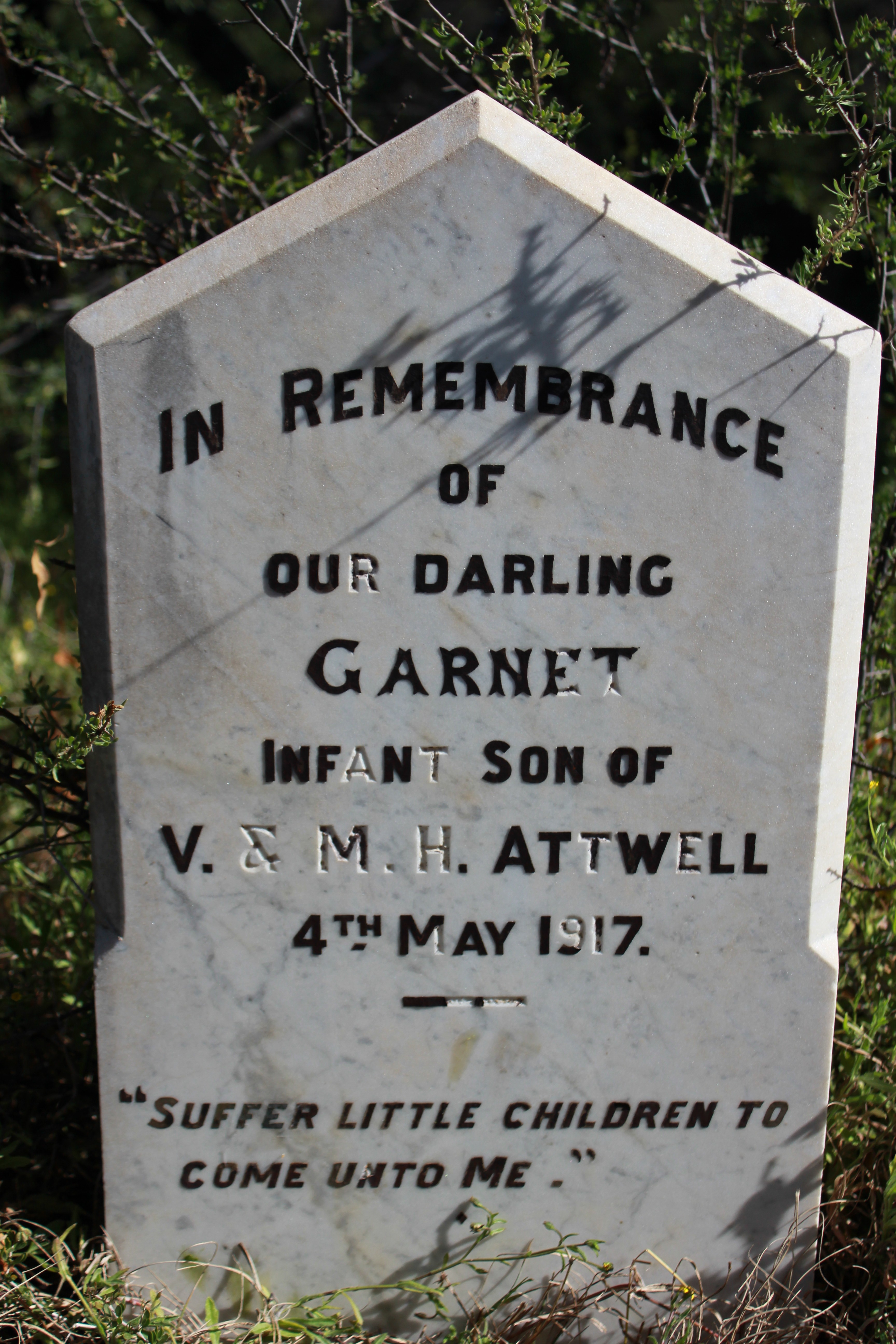ATTWELL Garnet 1917-1917