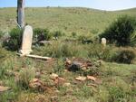 Mpumalanga, CAROLINA district, Frischgewaagd 409 JT_2, farm cemetery