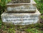 FELL Clarissa Mary 1873-1878