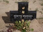 MQOKOZO Sesethu 2008-2012