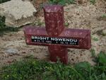 NGWENDU Bright 1963-2011