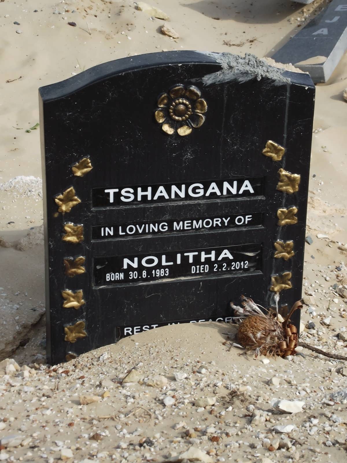 TSHANGANA Nolitha 1983-2012