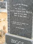 BIGGS James Ebenezer 1866-1949 & Johanna Elizabeth BLIGNAUT 1891-1953 :: BIGGS James Eugene 1912-1996