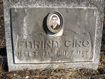 CIRO Farina 1935-1957