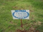PELELA Piet P. 1957-2009