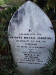 FERREIRA Anthony Michael -1851 & Maria A.J. MEEDING -1891