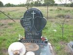 Limpopo, WATERBERG district, Vischgat 11, farm cemetery