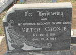 CRONJE Pieter 1891-1958
