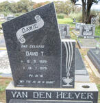 HEEVER David T., van den 1929-1979
