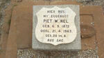 NEL Piet W. 1872-1963