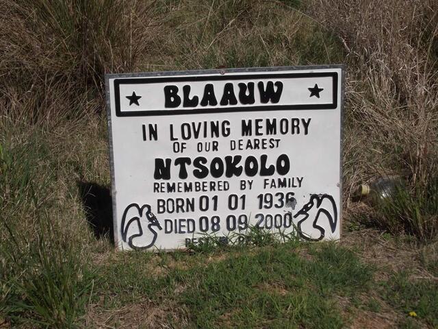 BLAAUW Ntsokolo 1936-2000