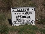 BLAAUW Ntsokolo 1936-2000