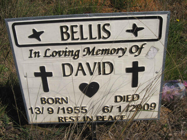 BELLIS David 1955-2009