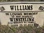 WILLIAMS Winstelins 2001-2003