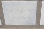 ROSSETTA  A.H. -1905