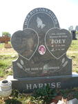 HARMSE Joey 1949-2007