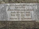 MOOR John William 1859-1933