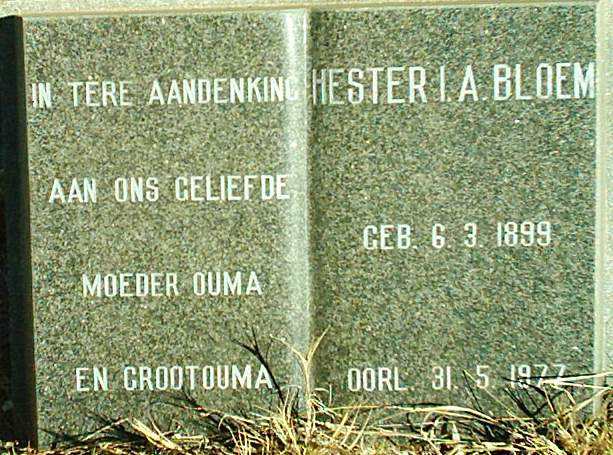 BLOEM Hester I.A. 1899-1977
