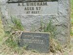BINGHAM Hennie 1892-1983 :: BINGHAM A.E.