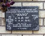 NEETHLING Johannes Henoch 1967-2013