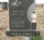 NDLOVU Aubrey 1967-2007