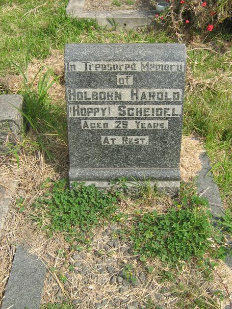 SCHEIDEL Holborn Harold